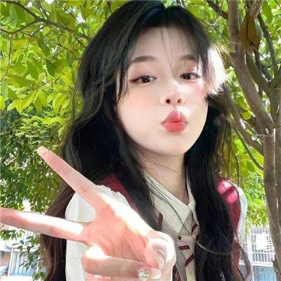 夏绿蒂的网