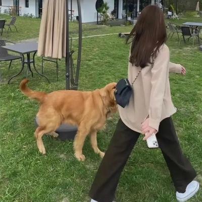 调查者：仅供执勤